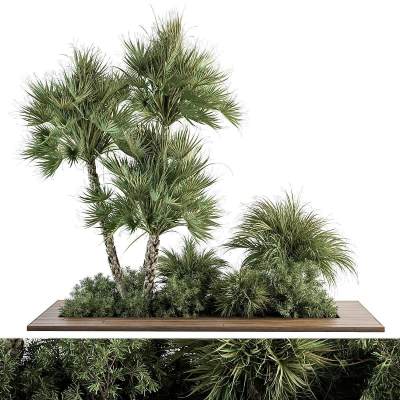 植物堆 花圃